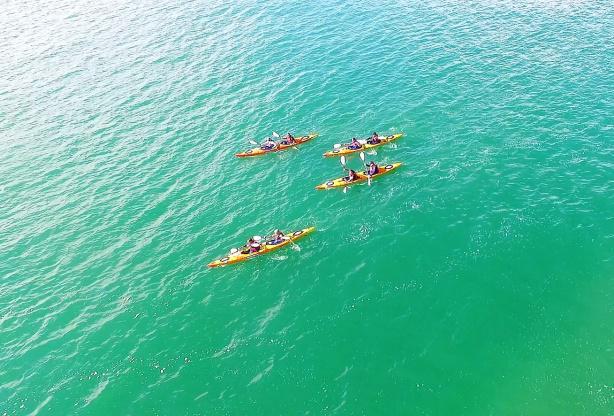Des kayak au milieu de la mer du Nord